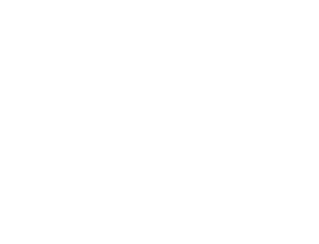 Pacha